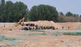 兴国爆料小孩事件最新,幼童遭遇惊人一幕，社会关注儿童安全事件